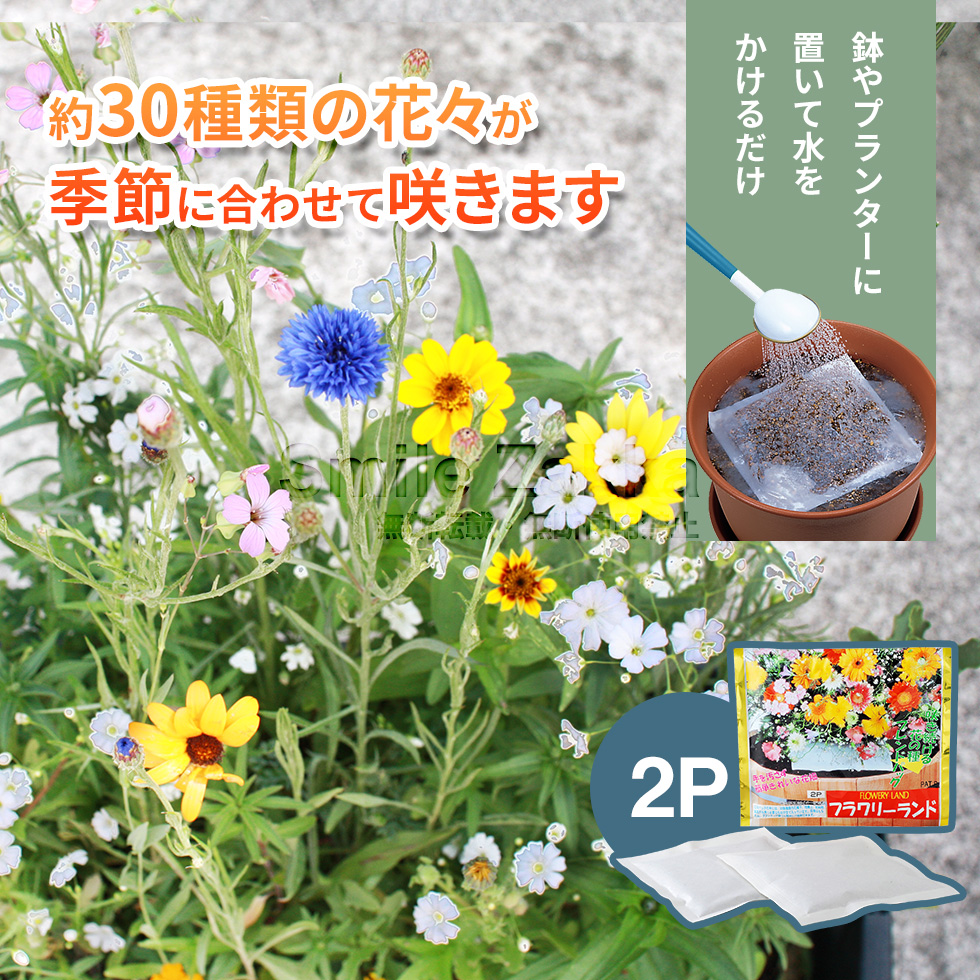 フラワリーランド(2パック) ガーデニングに : アーネスト公式 Yahoo!店