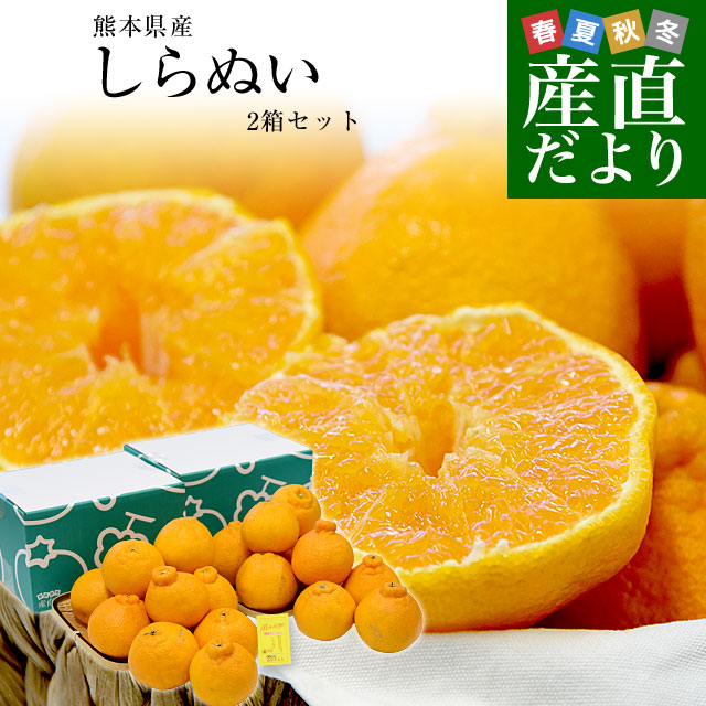 長野県産 JA松本ハイランド 大玉スイカ 秀品 4Lから5Lサイズ 9キロ以上