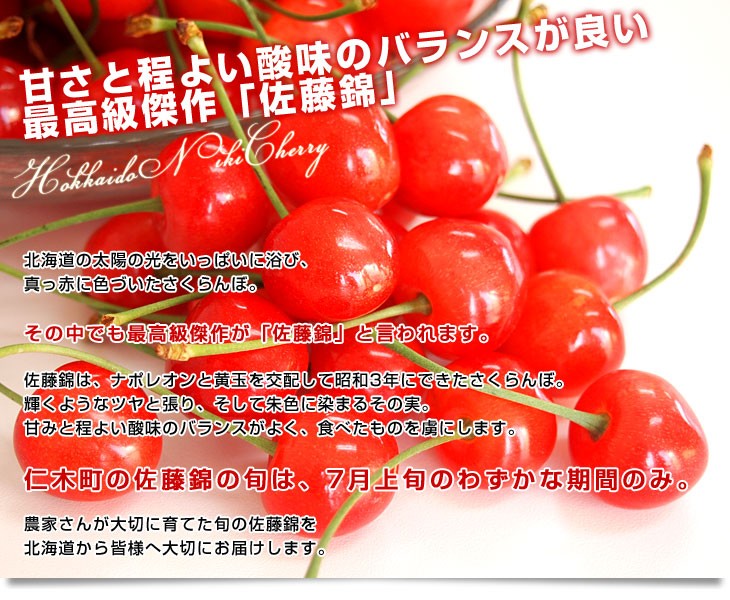 北海道から産地直送 JA新おたる 仁木町のさくらんぼ（佐藤錦） 秀品 L