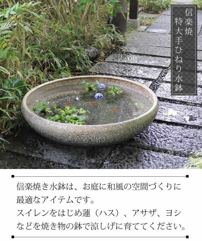 信楽焼 睡蓮鉢 メダカ鉢 おしゃれ めだか鉢 陶器 水鉢 ビオトープ