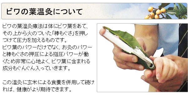 PURE・HEART 自然館 - 三栄商会｜Yahoo!ショッピング