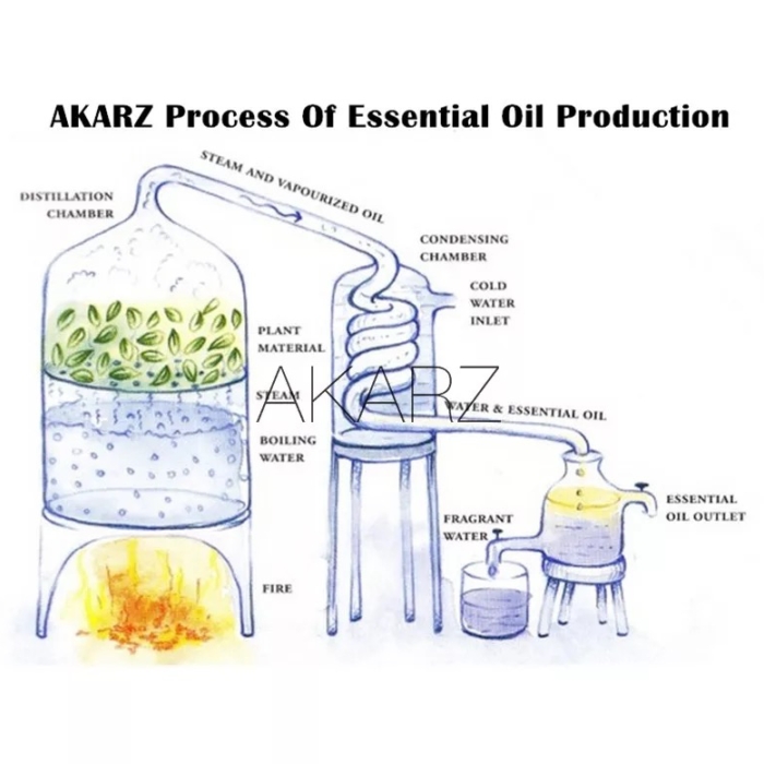 ストロベリー 苺 いちご 精油10mL - エッセンシャルオイル アロマ