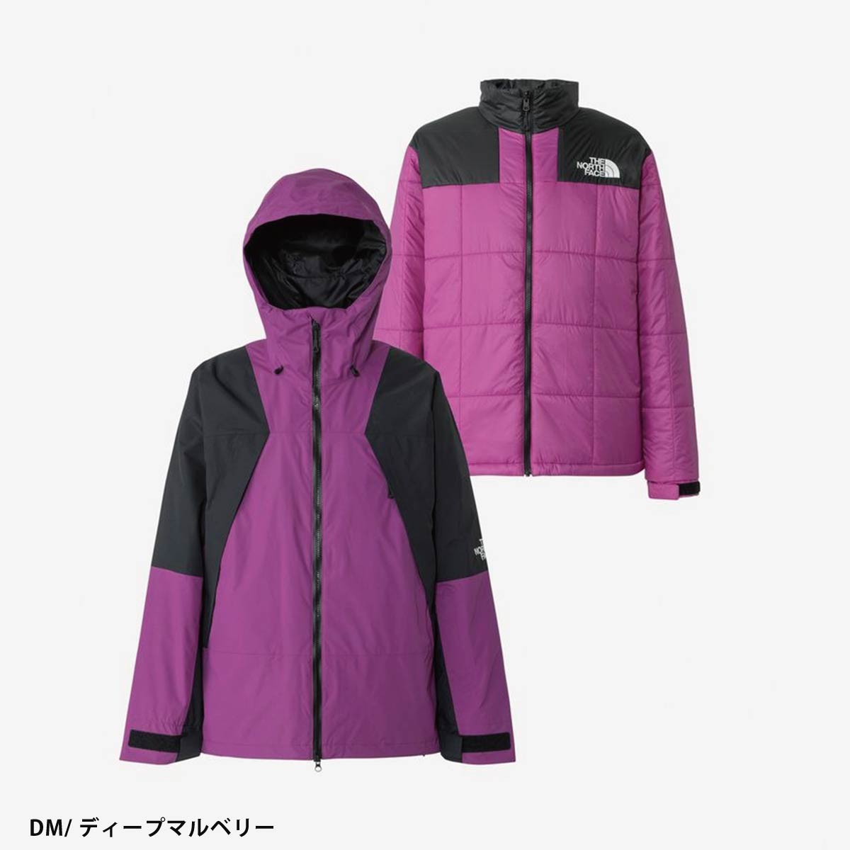 THE NORTH FACE（ザ ノースフェイス） スキーウェア メンズ スキー