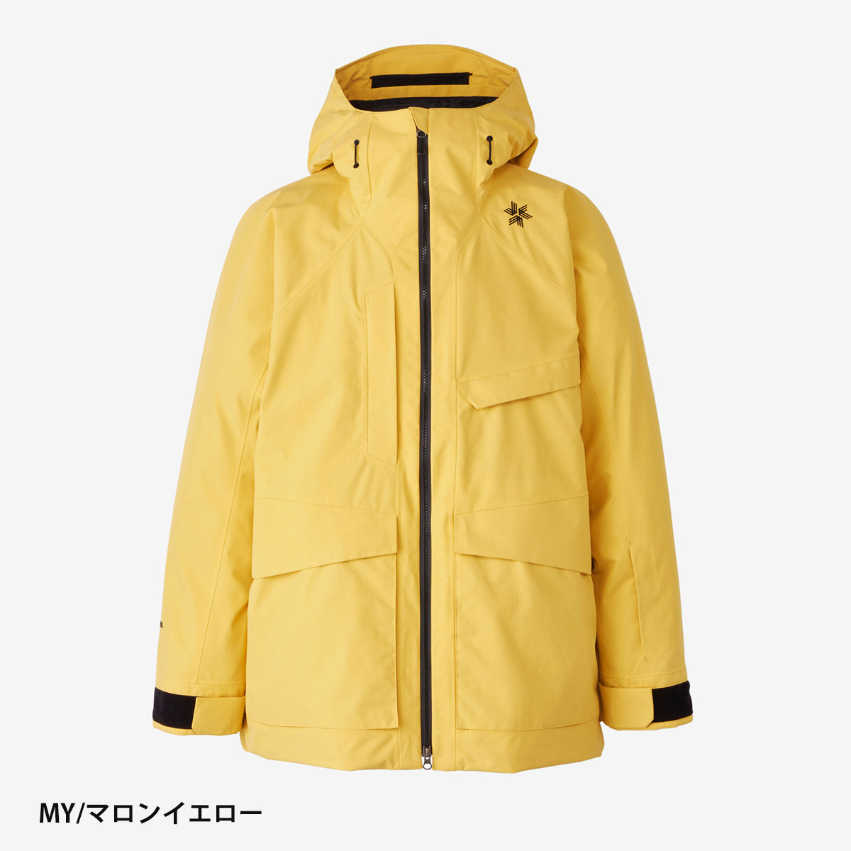 GOLDWIN（ゴールドウイン） スキーウェア ゴールドウィン メンズ