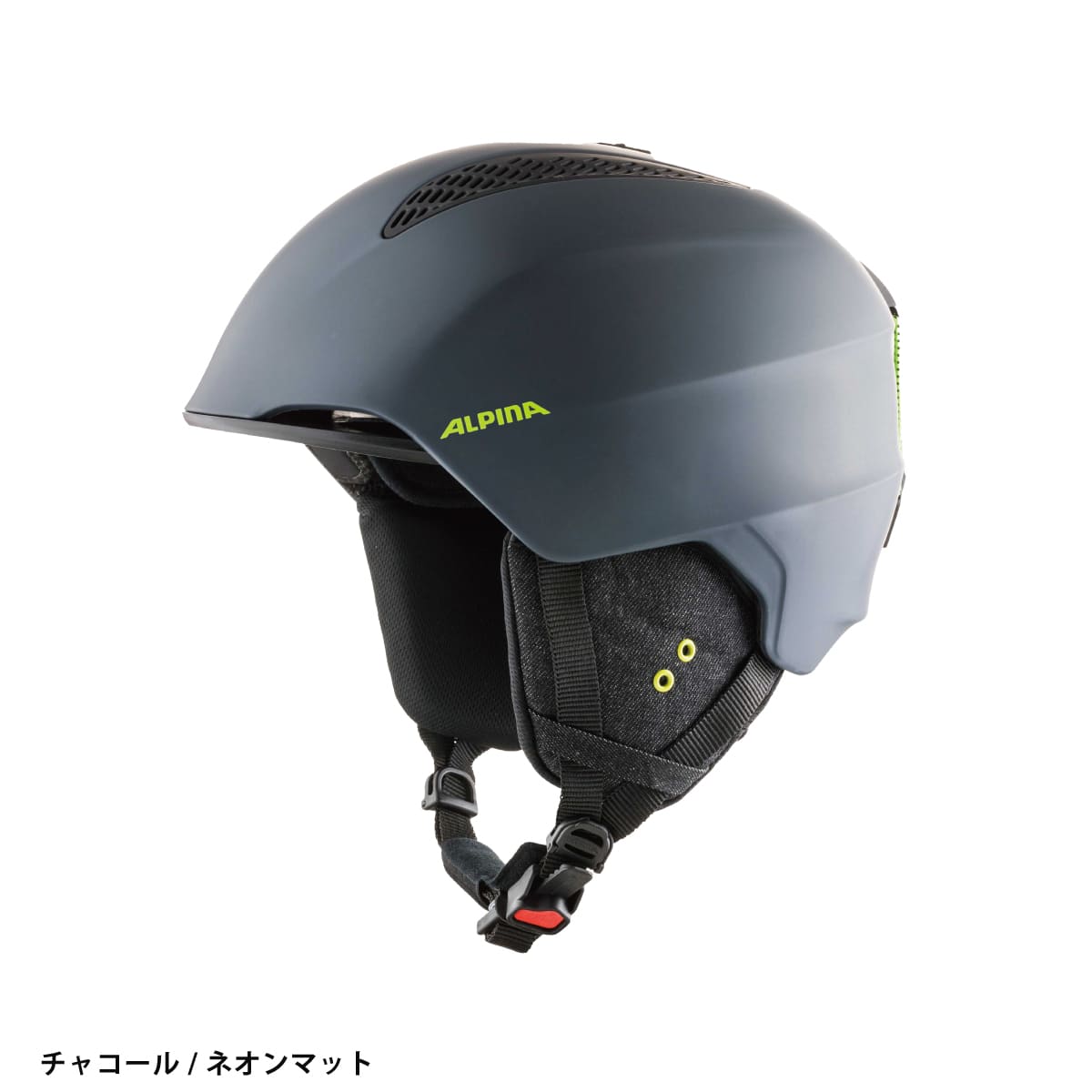 ALPINA（アルピナ） 【22日限定！全品P10倍！】ALPINA スキー