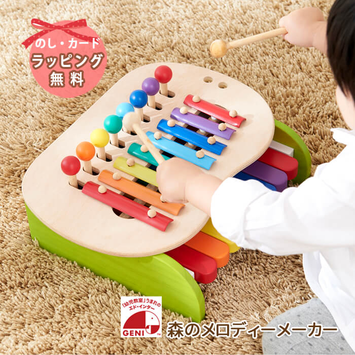 エド・インター（Ed・Inter） 森のメロディメーカー 鉄琴 鍵盤 音 知育