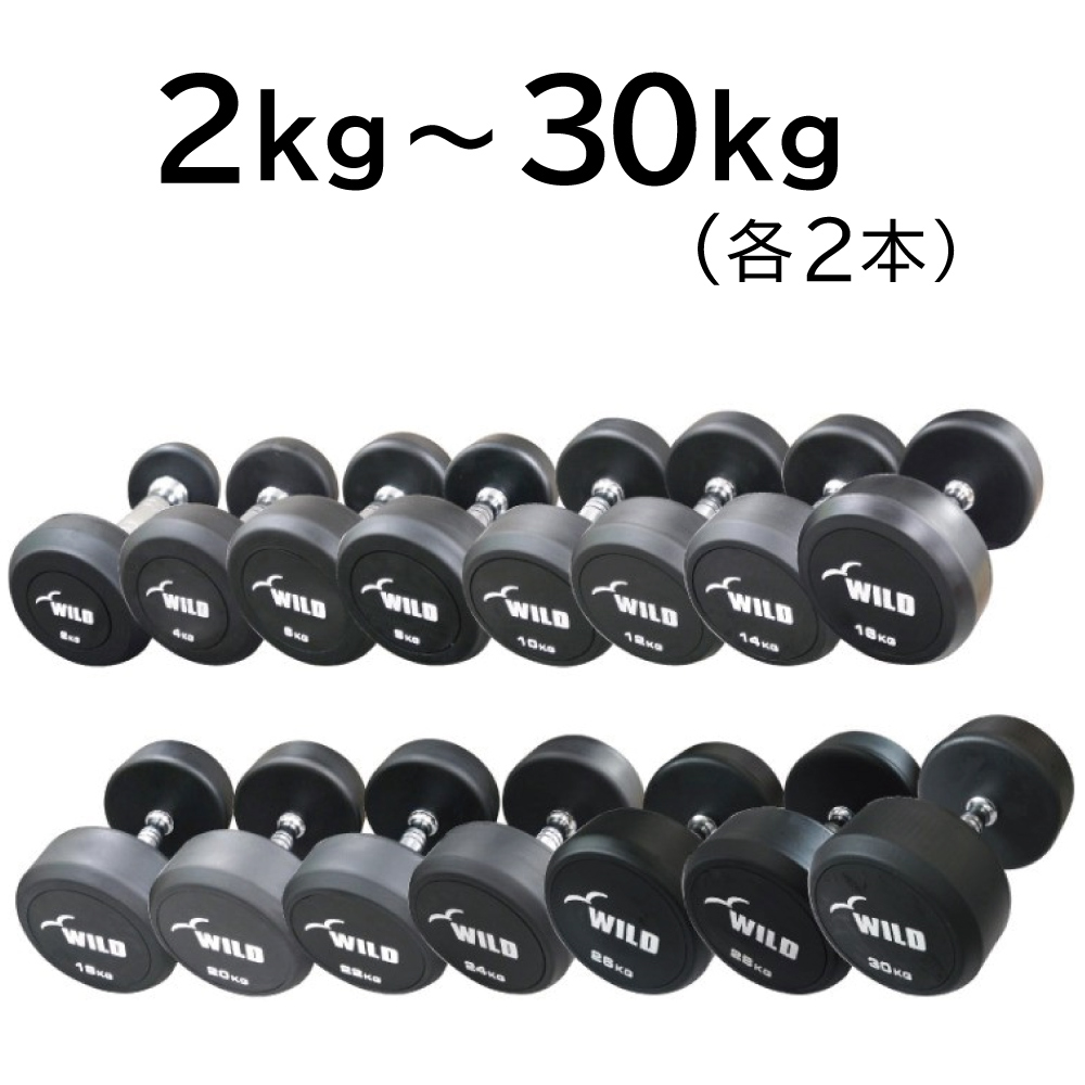 WILD FIT（ワイルドフィット） 固定式 ダンベル WF セット / ダンベル
