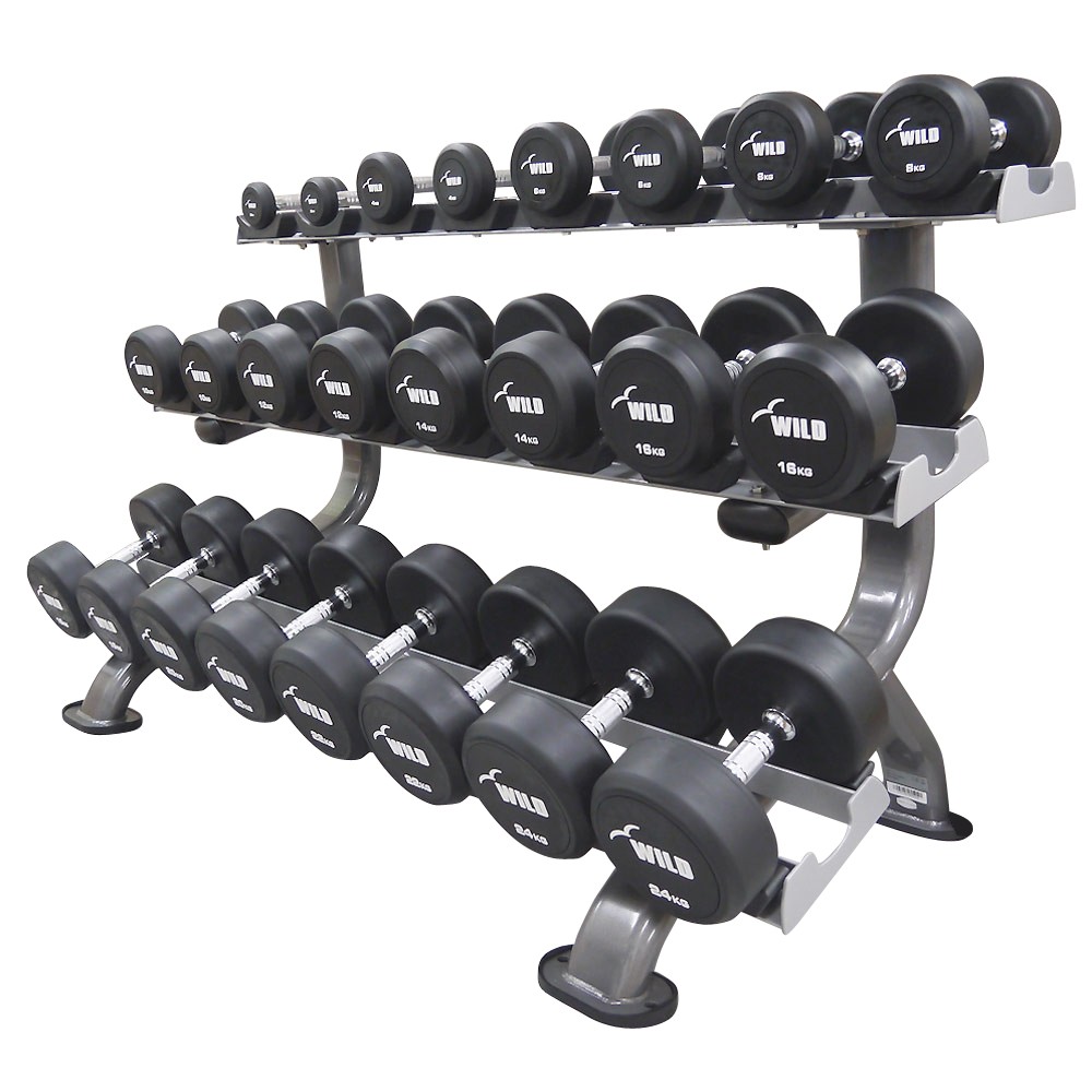 WILD FIT（ワイルドフィット） 固定式 ダンベル 22kg WF / 22キロ ジム