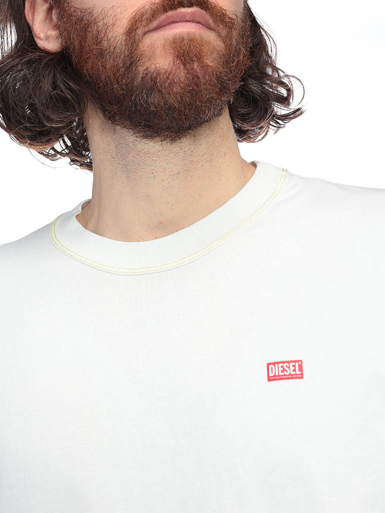 DIESEL（ディーゼル） サイドロゴ バックアップルプリント クルー