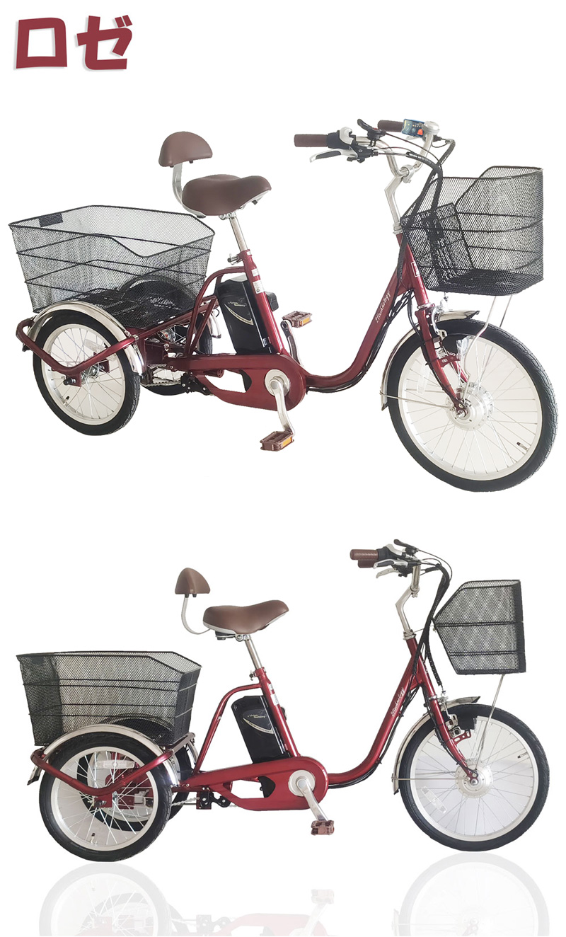 21Technology 電動アシスト三輪自転車 三輪車 電動三輪車 電動アシスト