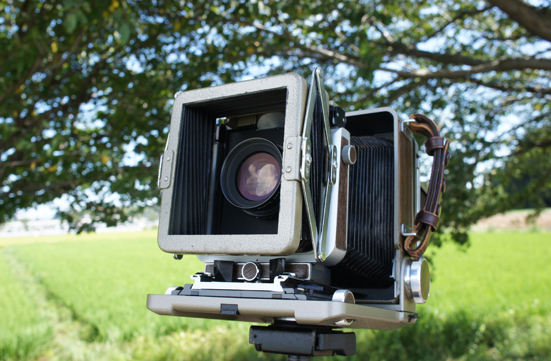 トピック関連記事