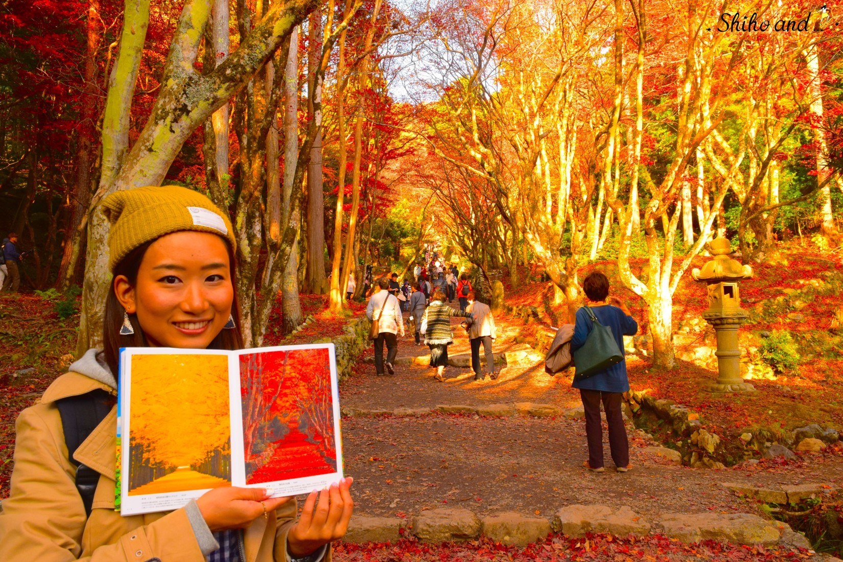 360°真っ赤な世界！知る人ぞ知る絶景紅葉スポット・鶏足寺（滋賀県）に