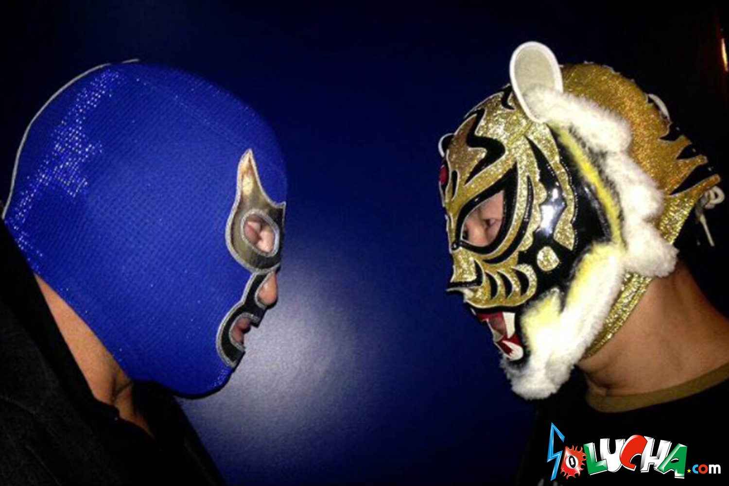 SOLUCHA.com / 【AAA】3代目タイガーマスク 実使用済マスク