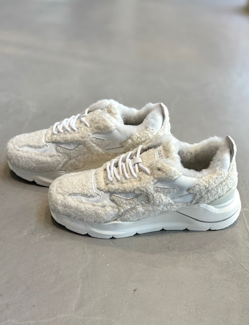 DATE/FUGA TEDDY – SPITIFARO