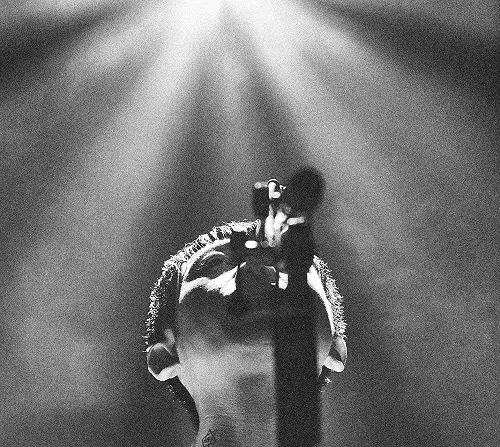 君のために生きていくね/踊ってばかりの国｜日本のロック｜ディスク