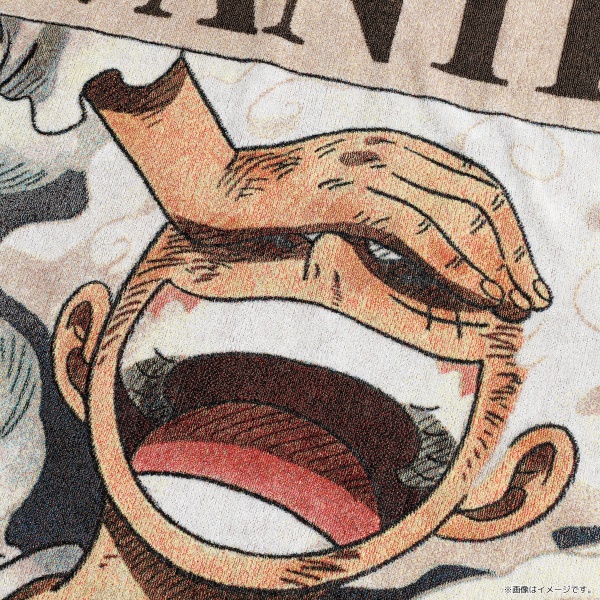 ワンピース】五彩織り ビッグタオル ＜手配書＞: 雑貨｜東映