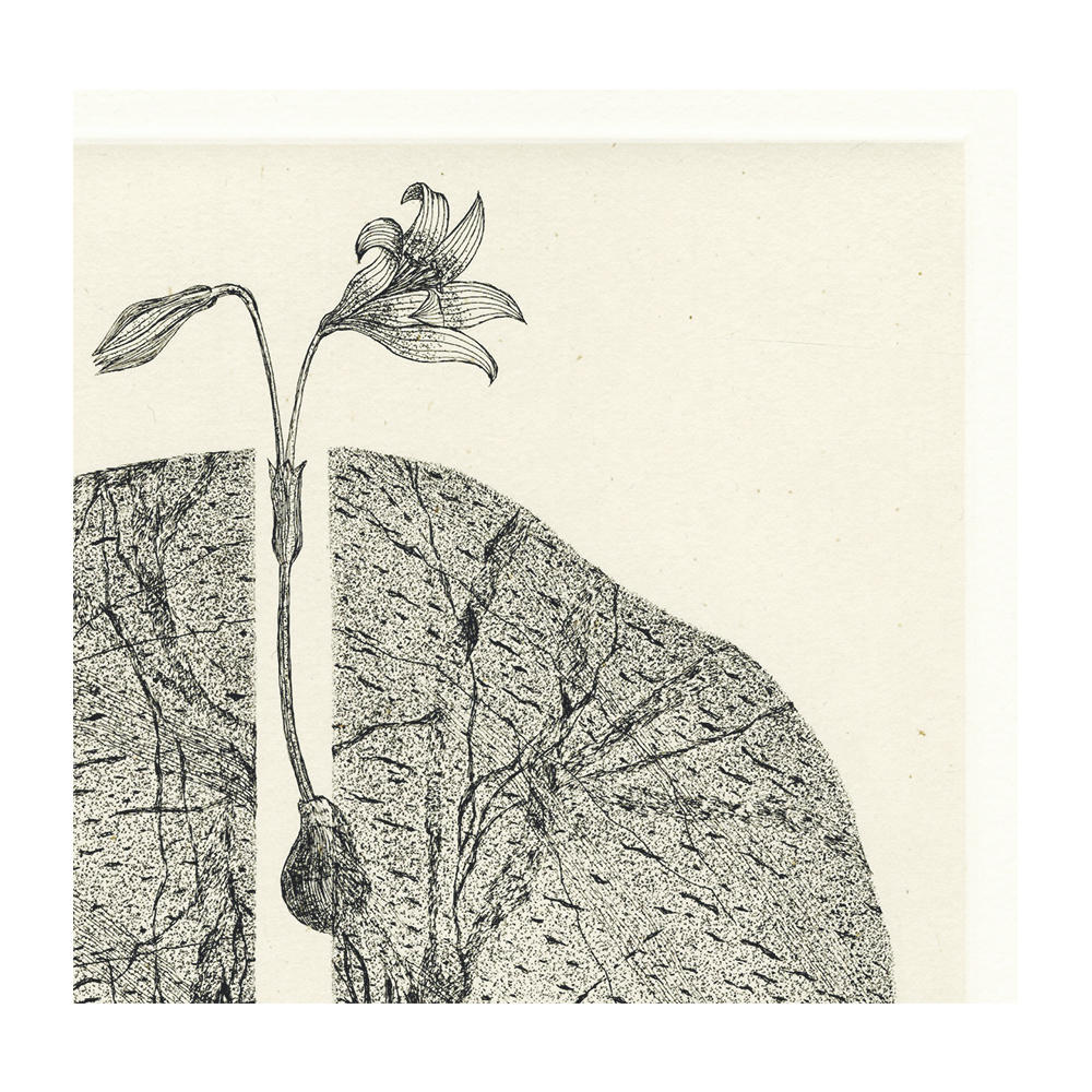 サイン入り】永井一正 銅版画作品 「LIFE 73」 永井一正 -の商品詳細