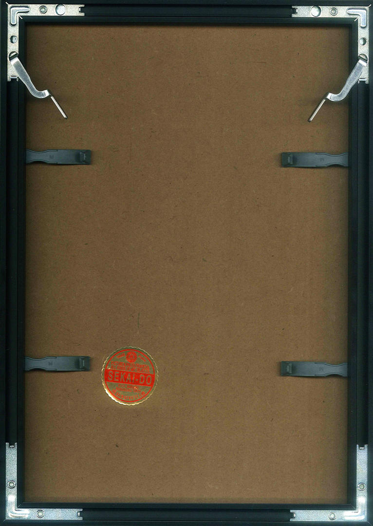 ESOW「モノクロ」シルクスクリーンプリント (額装付／Edition付