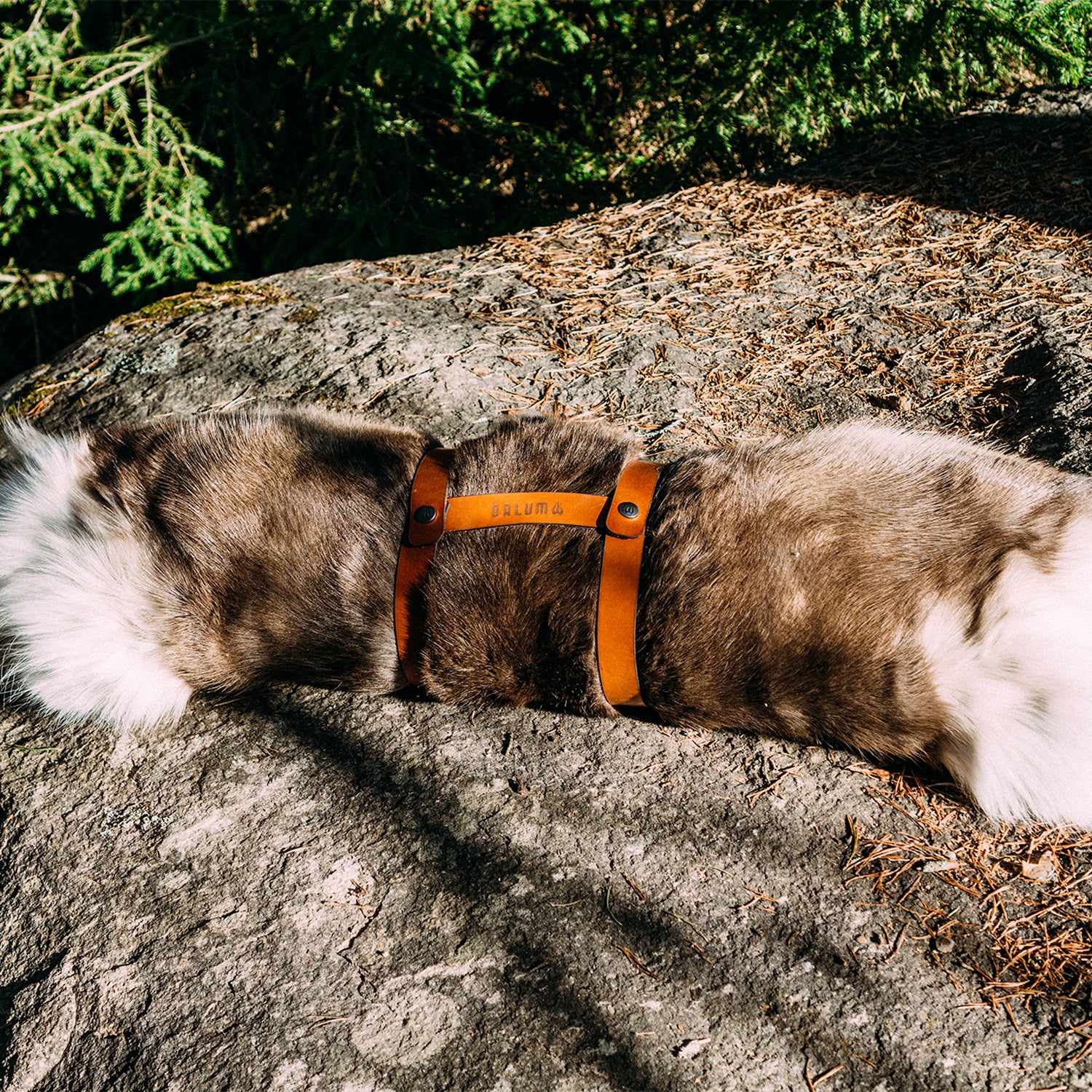 ダーラム トナカイファー Lサイズ 【公式通販】