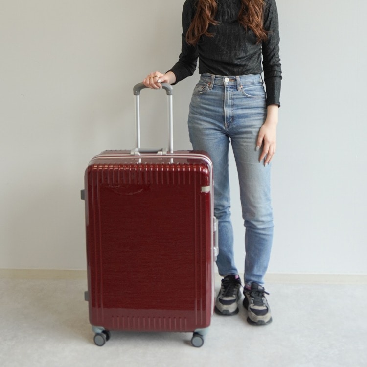 ace.／エース パリセイド3-F 05054 スーツケース フレーム 89L