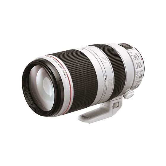 販売終了】EF100-400mm F4.5-5.6L IS II USM:交換レンズ 通販
