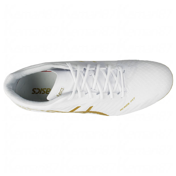 DSライト ACROS PRO 2 ホワイト×リッチゴールド | ゲキサカFCストア