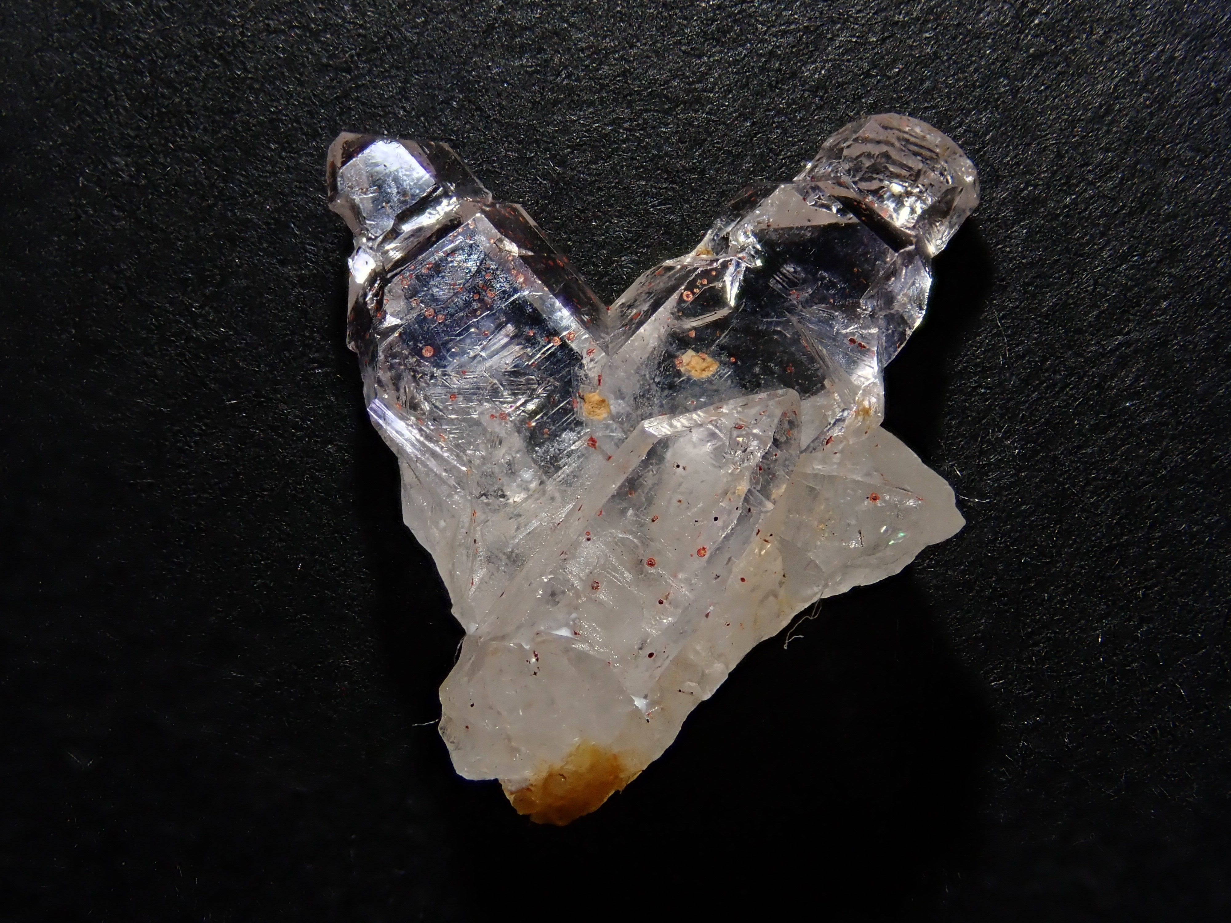 P8282963.jpg?v=1724893392&