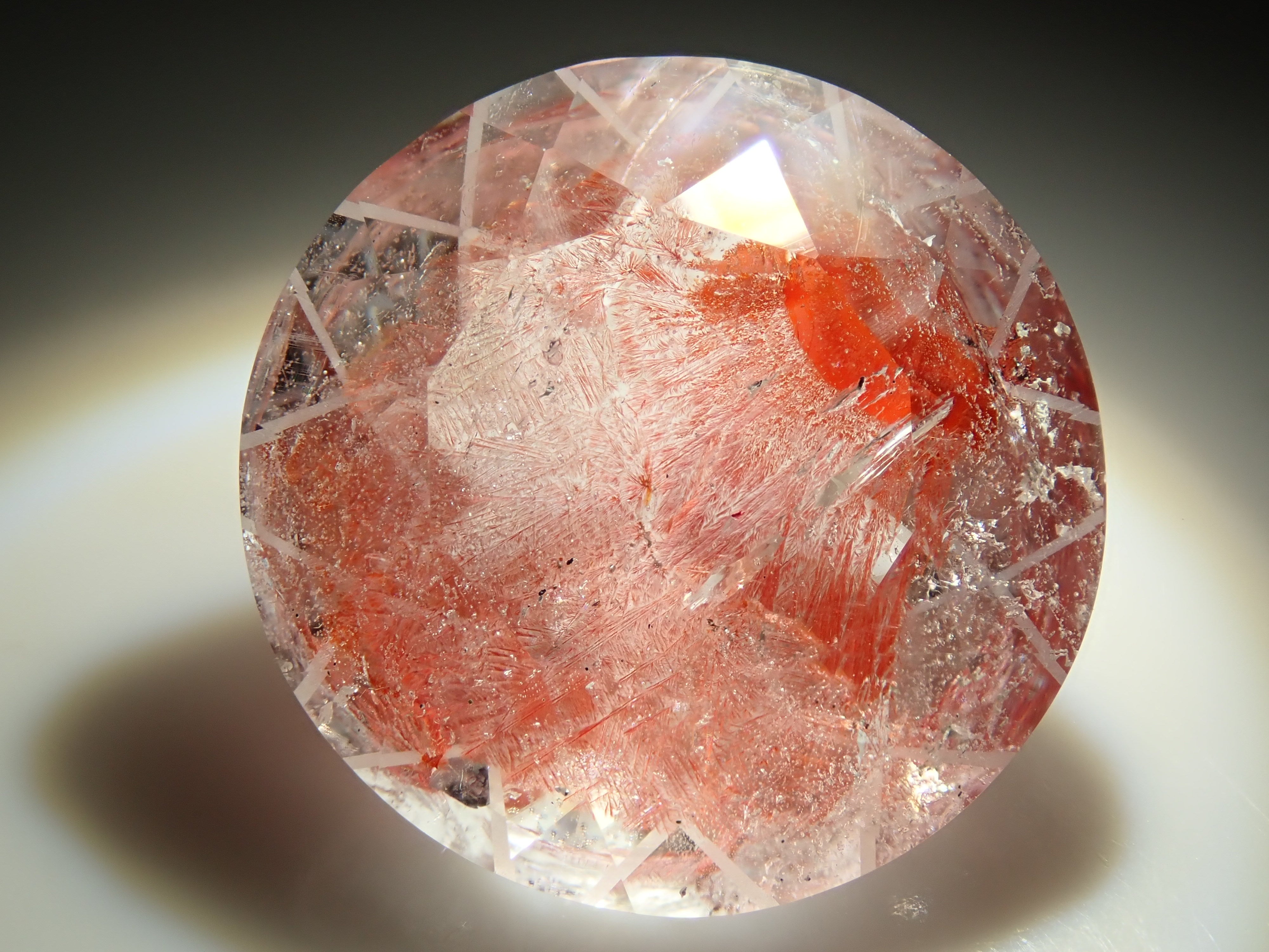 P9180298.jpg?v=1726819942&