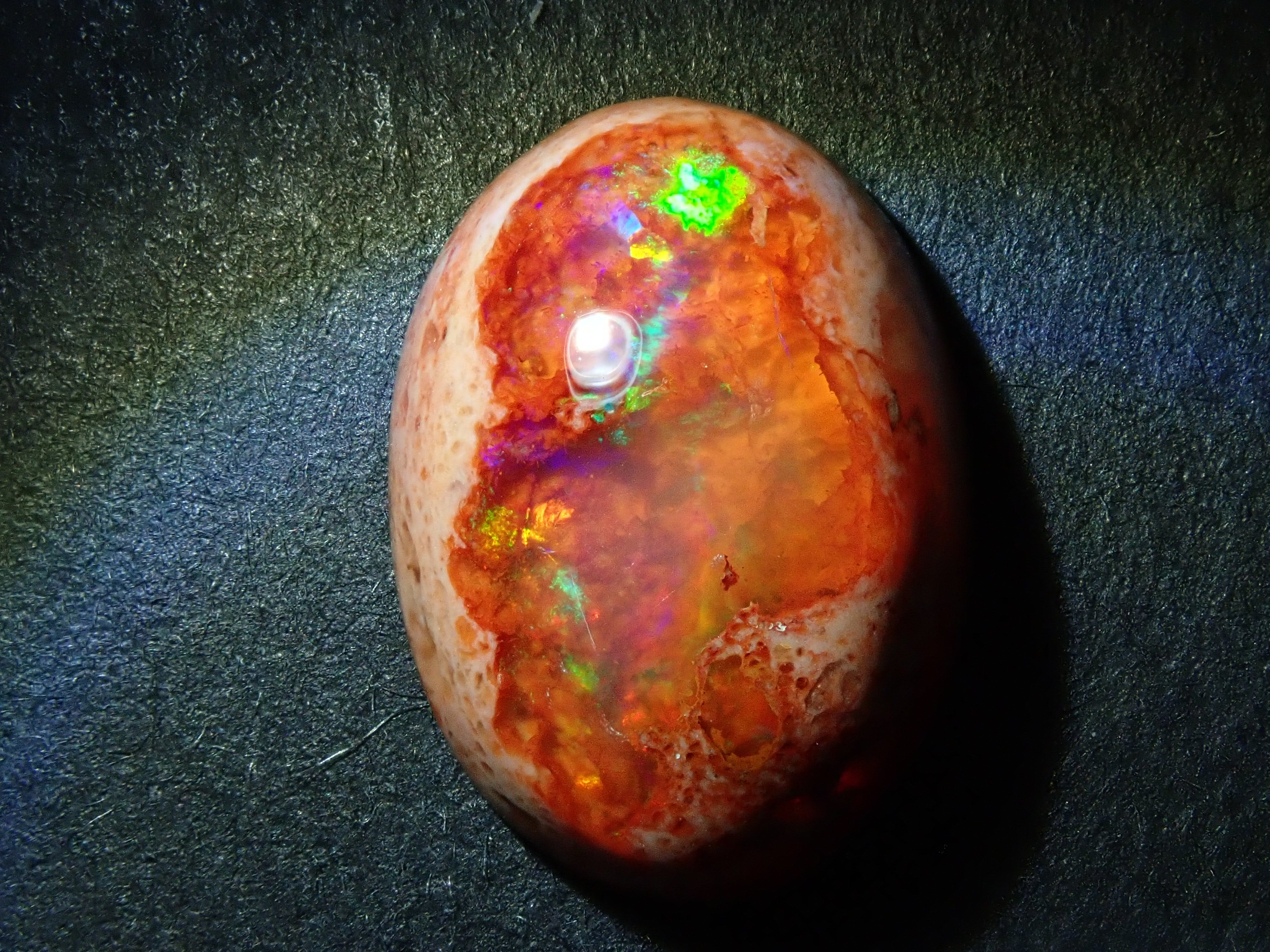 PA170426.jpg?v=1729247678&