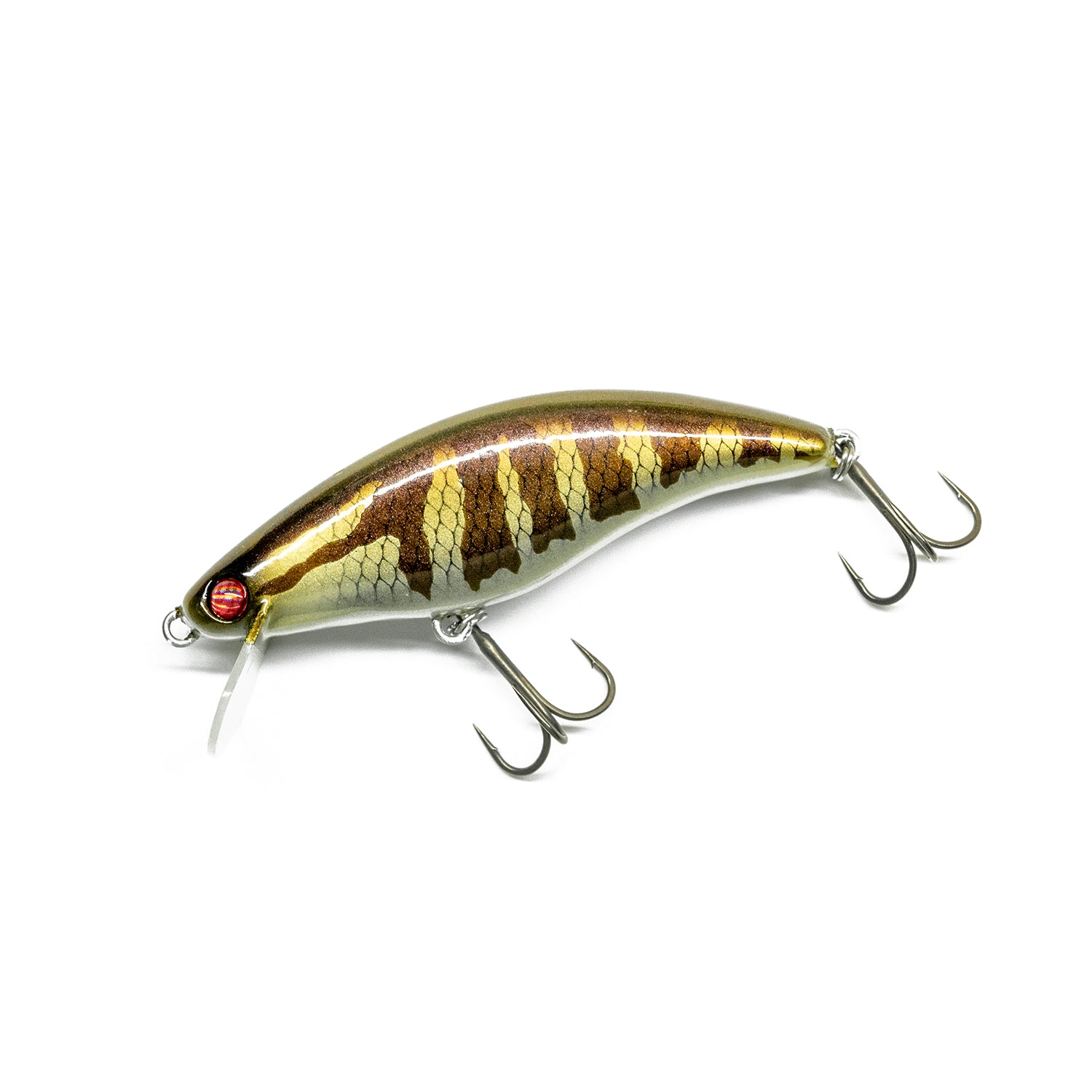 GURUME 78SR secret color 🤫 – OBASSLIVE® | OFFICIAL ONLINE STORE