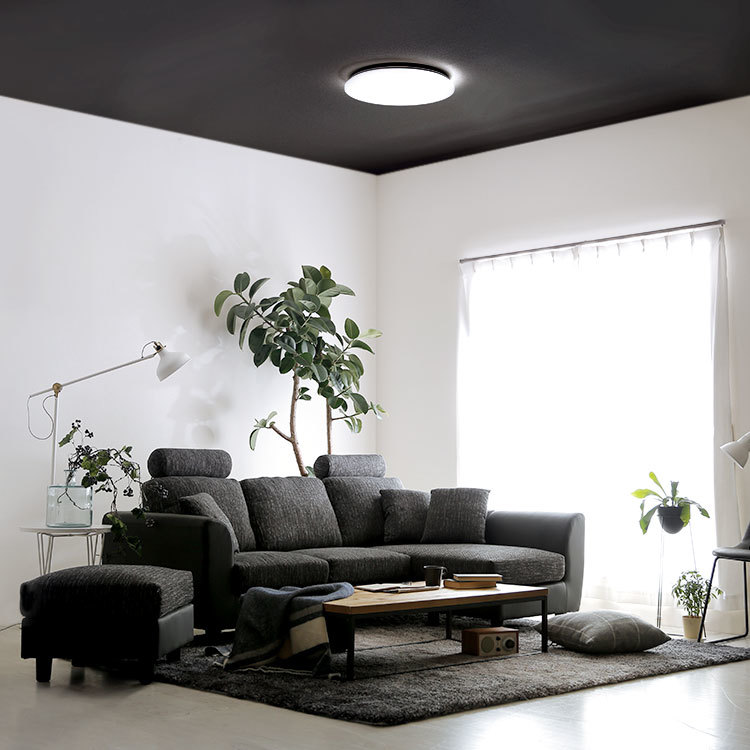 薄型LEDシーリングライト[6畳/8畳](フレーム：なし/ホワイト/グレー