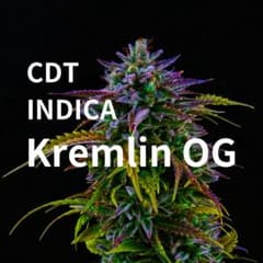 CDT(テルペン) インディカ KREMLIN OG 2ml - メルカリ
