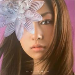 m16966791819_1.jpg?1708934585