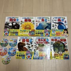 m24425037814_1.jpg?1723812646