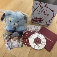 ENHYPEN THE SIN:VANISH ボイスキーリング ジョンウォン - メルカリ