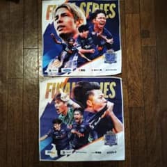 サンフレッチェ広島 ファイナルシリーズ 選手タオル 非売品 - メルカリ