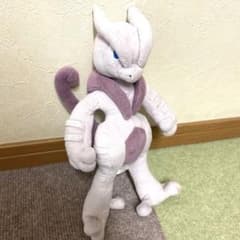 m66142704065_1.jpg?1729863882