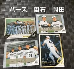 m76160169385_1.jpg?1730266857