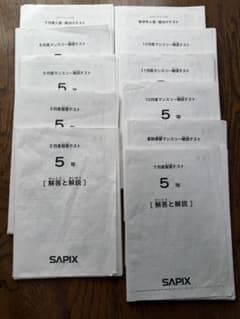 SAPIX 5年 2019年度マンスリー復習テスト組分けテスト一年分 - メルカリ