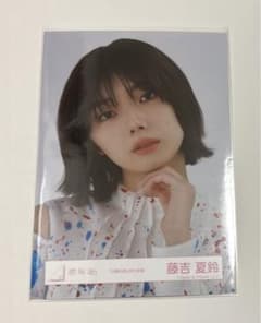 m98068742215_1.jpg?1723638428