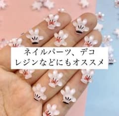 m99897404968_1.jpg?1730348337