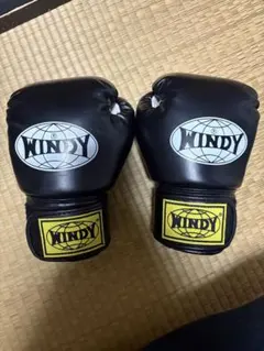 2026年最新】windy グローブの人気アイテム - メルカリ