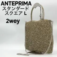 2026年最新】アンテプリマ ラージ スクエアの人気アイテム - メルカリ