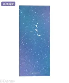 2026年最新】sukala ラグ ピーターパンの人気アイテム - メルカリ