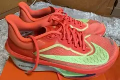 2026年最新】マックスフライ 24.5の人気アイテム - メルカリ