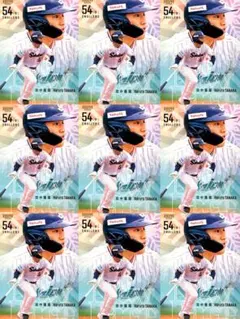 2026年最新】オンサイトカード サンフレッチェ広島の人気アイテム