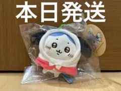 2026年最新】ちいかわ_サンリオ_ぷちミニフードマスコットの人気