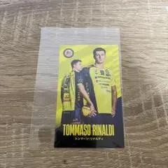 2026年最新】日本製鉄堺ブレイザーズの人気アイテム - メルカリ