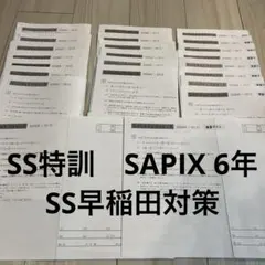 2026年最新】サピックス 6年 テストの人気アイテム - メルカリ