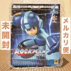 2026年最新】Luminasta ロックマンの人気アイテム - メルカリ
